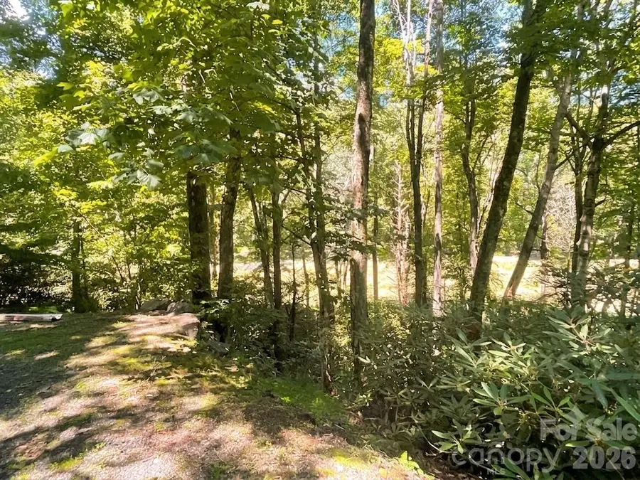 903 Winter Star Loop, Burnsville, NC 28714 - #2