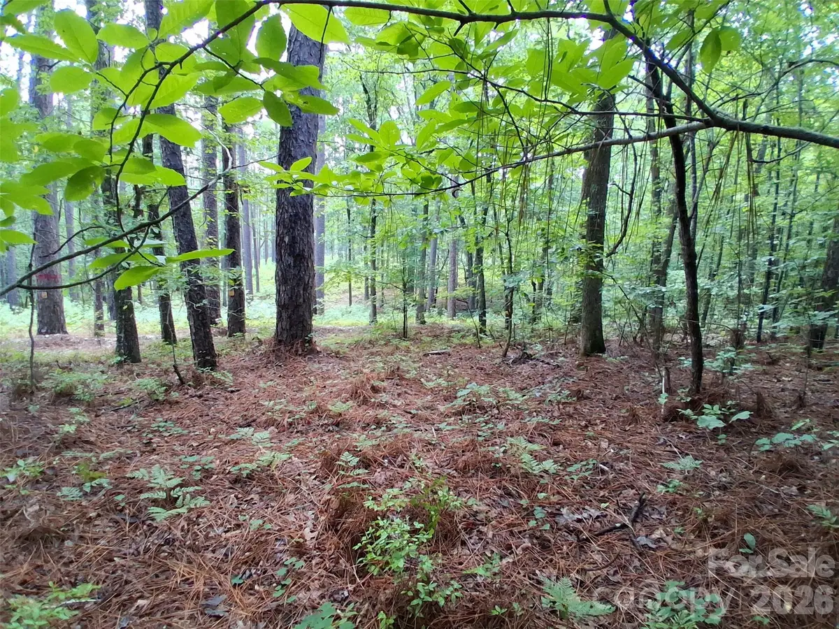 0 Nc 109 Highway S, Mount Gilead, NC 27306 - #1