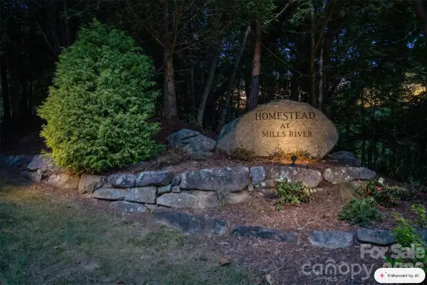 838 Mills River Way, Horse Shoe, NC 28742