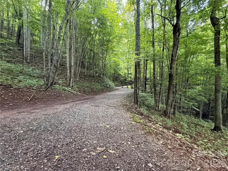 1781 High Line Road #63, Sylva, NC 28779 - #3