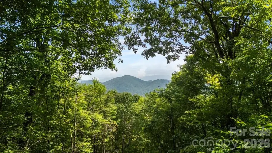 67 Birch Springs Lane #218, Mars Hill, NC 28754 - #3