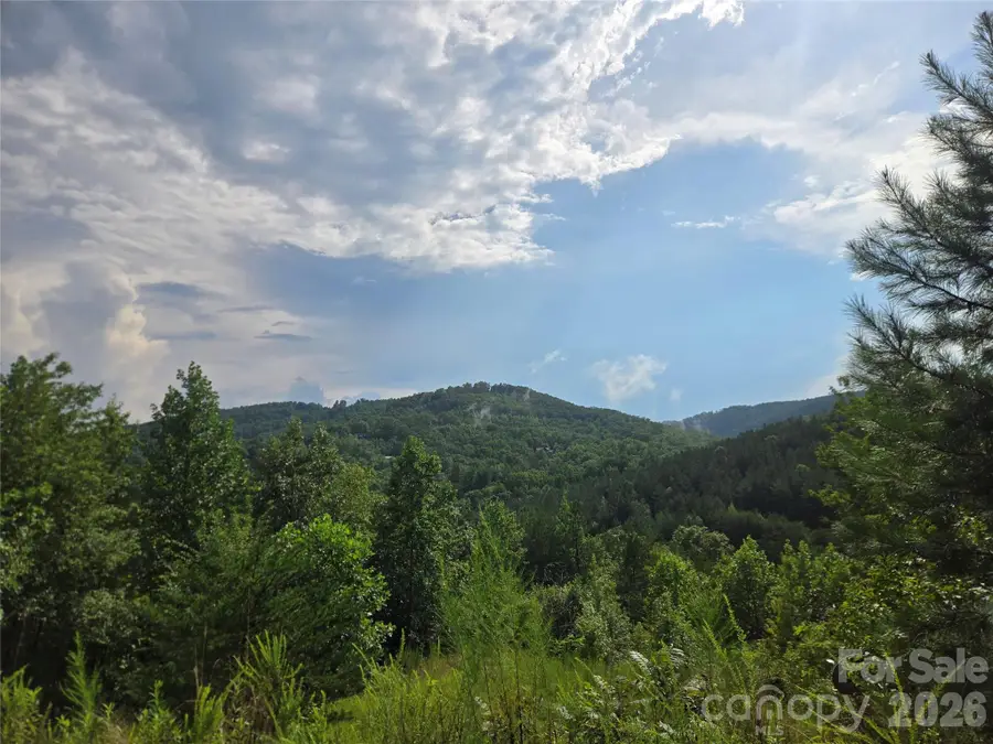 0 Pinegrove Drive #161, Bostic, NC 28018 - #2