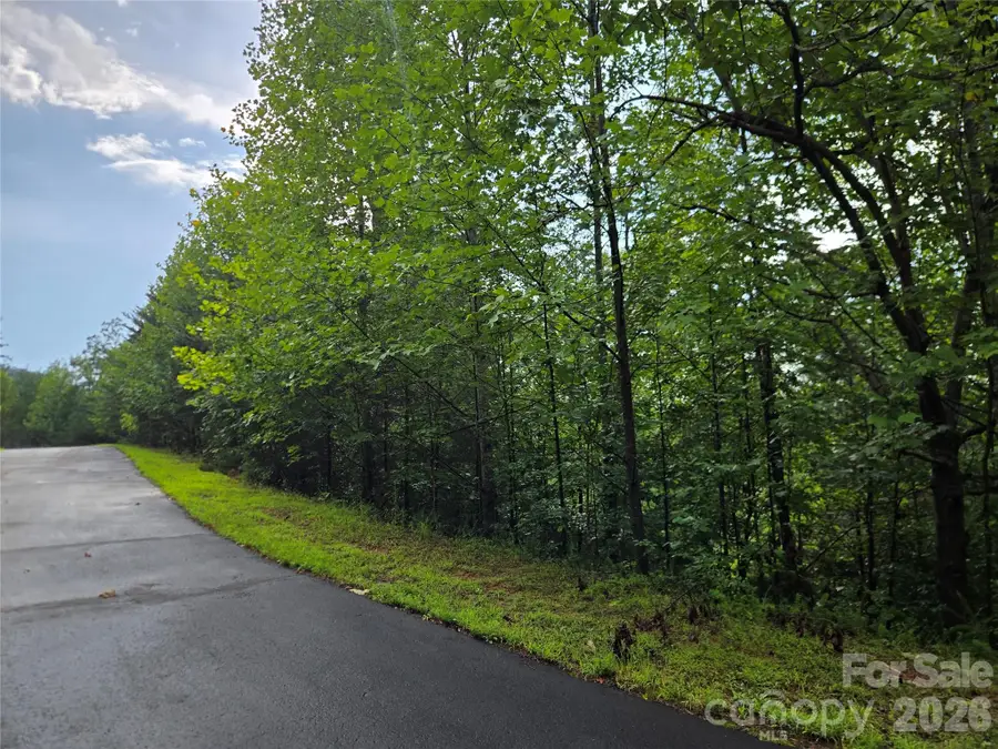 0 Pinegrove Drive #161, Bostic, NC 28018 - #3