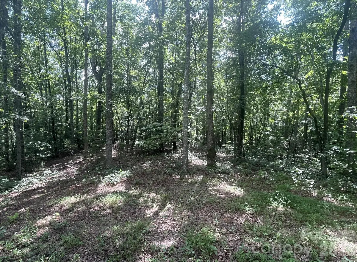 2060 Us 19 Highway S, Bryson City, NC 28713 - #1