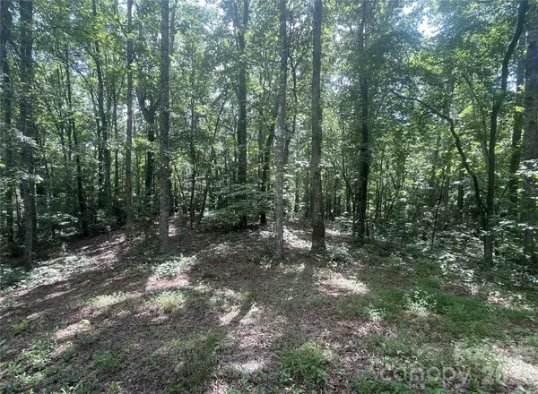2060 Us 19 Highway S, Bryson City, NC 28713