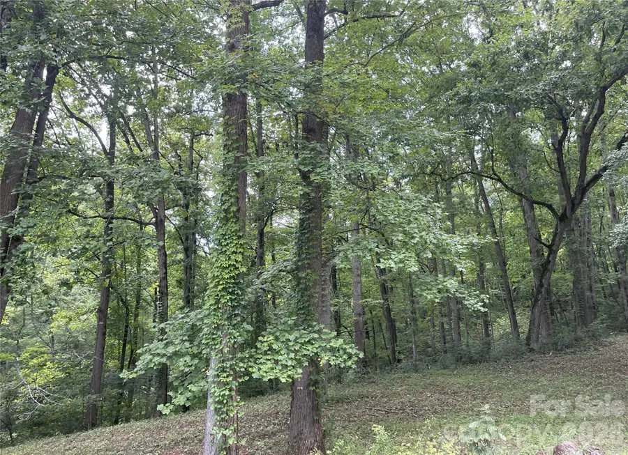 2060 Us 19 Highway S, Bryson City, NC 28713 - #3