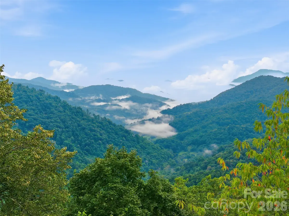 Lot 50 Running Cedar Drive, Mars Hill, NC 28754 - #1