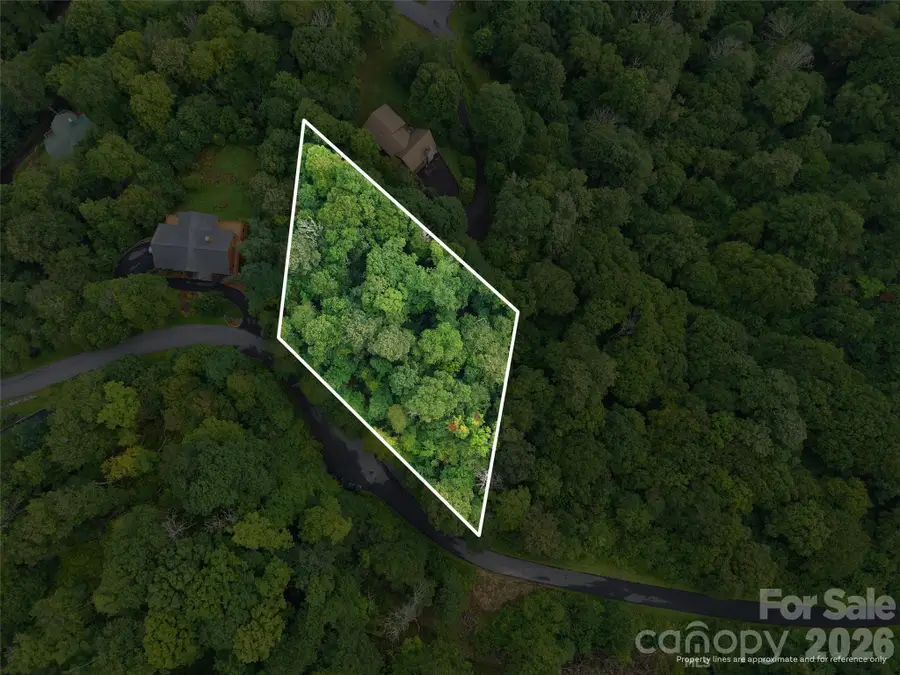 Lot 50 Running Cedar Drive, Mars Hill, NC 28754 - #3