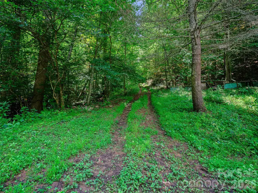 000 Cove Mountain Road, Burnsville, NC 28714 - #2