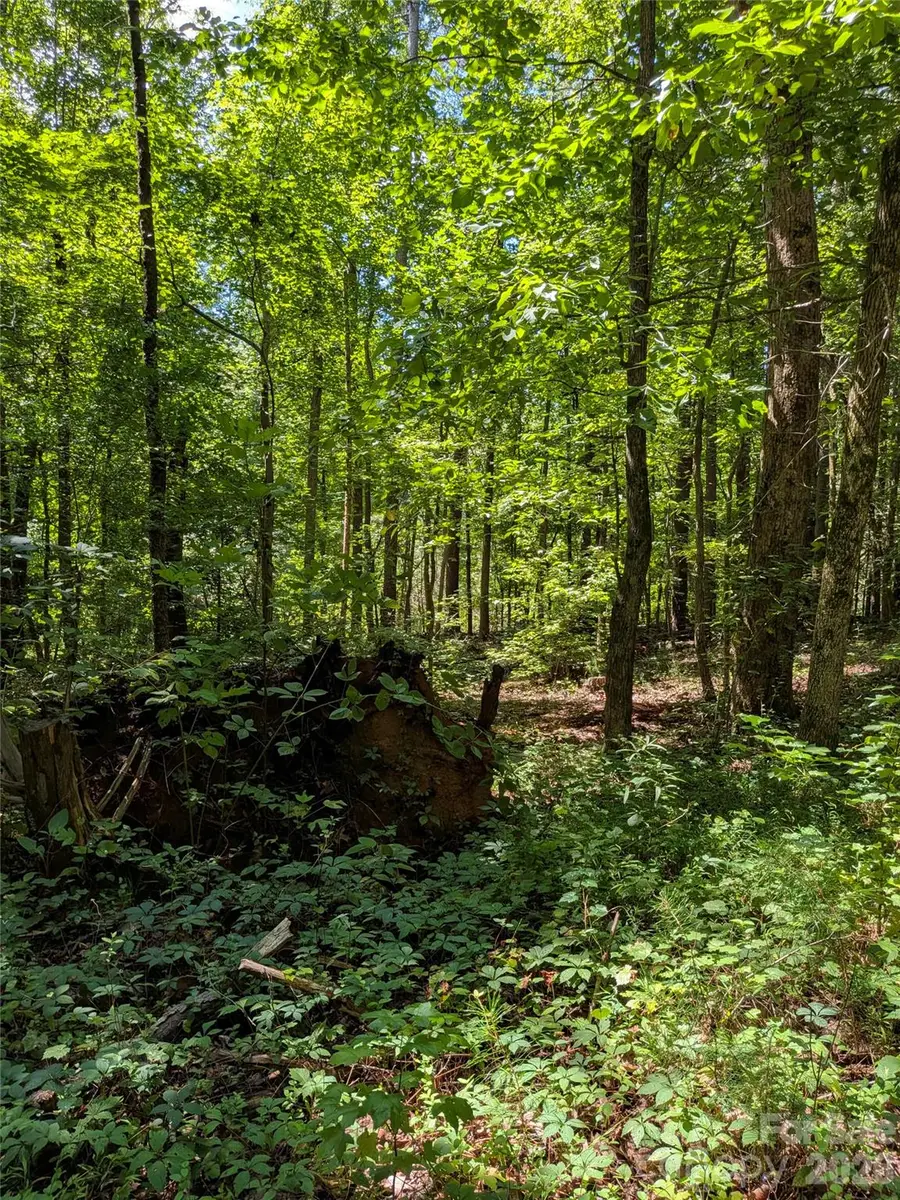0 Freedom Mill Road #9, Gastonia, NC 28052 - #2