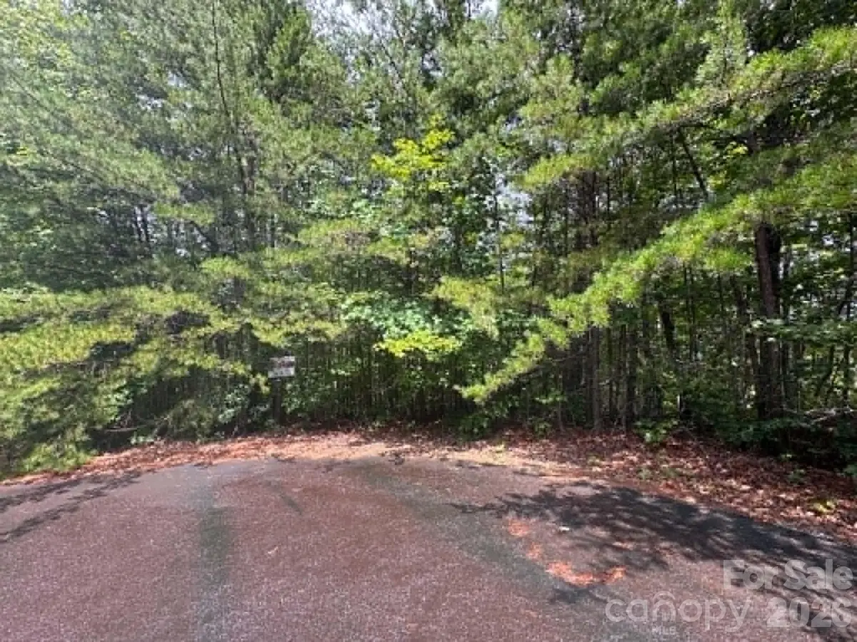 TBD Fire Tower Road, Bostic, NC 28018 - #1