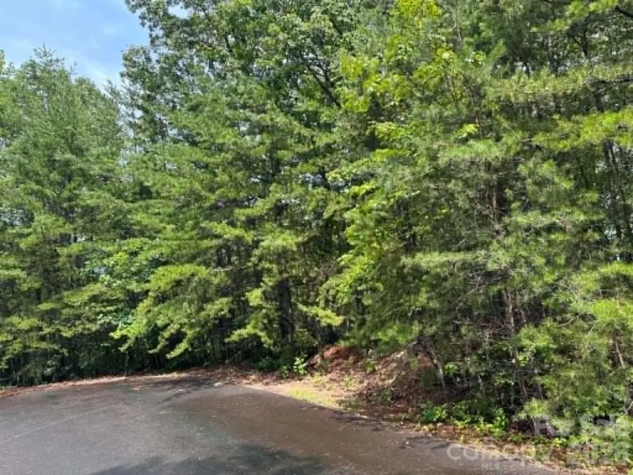 TBD Fire Tower Road, Bostic, NC 28018 - #3