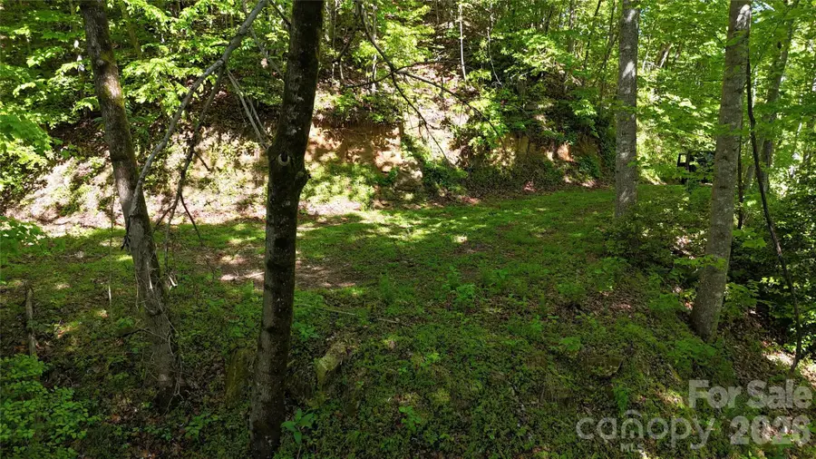 TBD Valley Drive, Lenoir, NC 28645 - #2