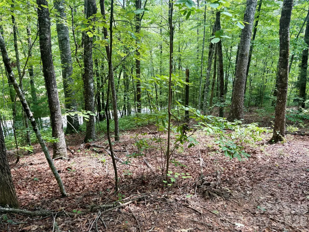 0 Watia Road, Bryson City, NC 28713 - #1