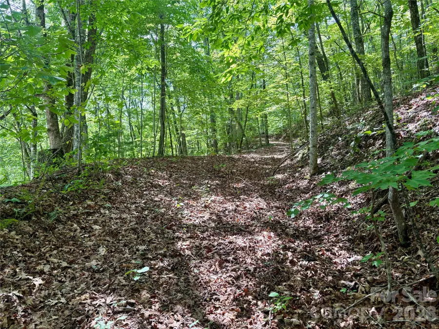 0 Watia Road, Bryson City, NC 28713 - #2