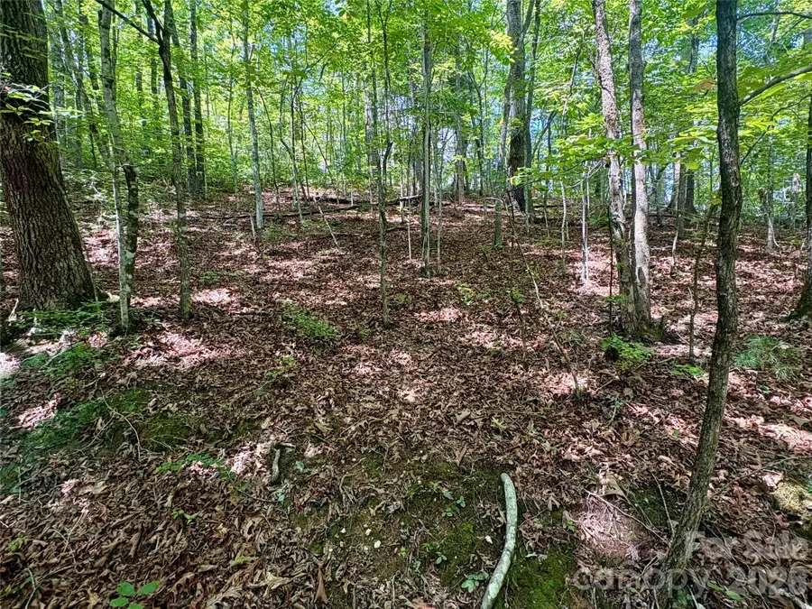 0 Watia Road, Bryson City, NC 28713 - #3