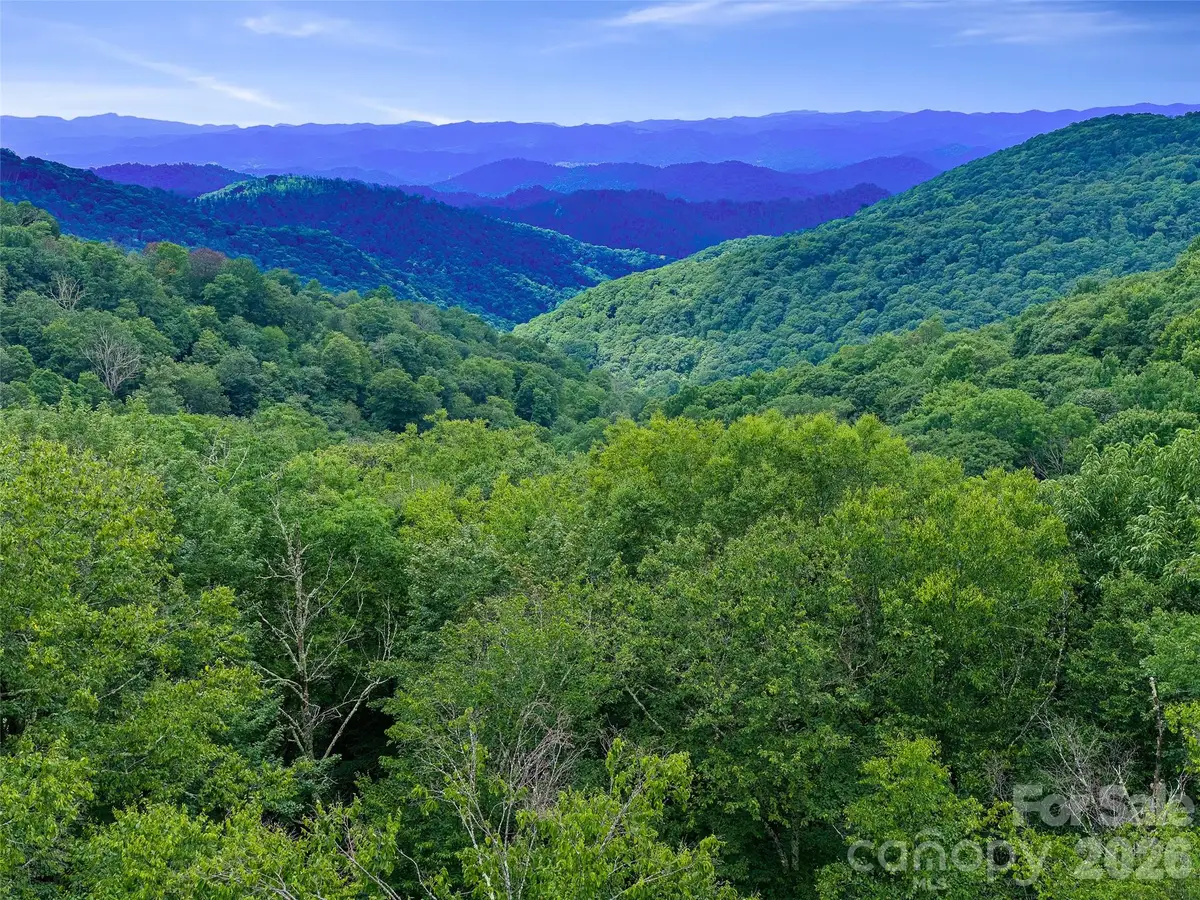 0 Ogle Meadows Road #81, Burnsville, NC 28714 - #1