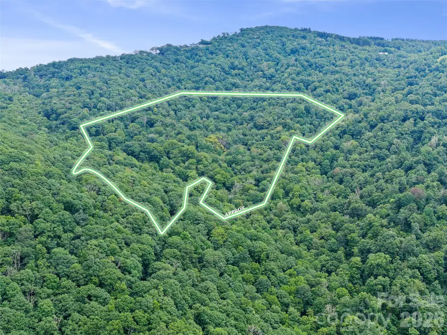 0 Ogle Meadows Road #81, Burnsville, NC 28714 - #3