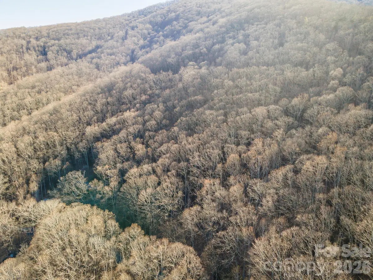 00 Wildflower Cove Road #18, Swannanoa, NC 28778 - #1