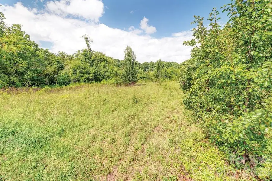 99999 Odonald Road, Asheville, NC 28806 - #2