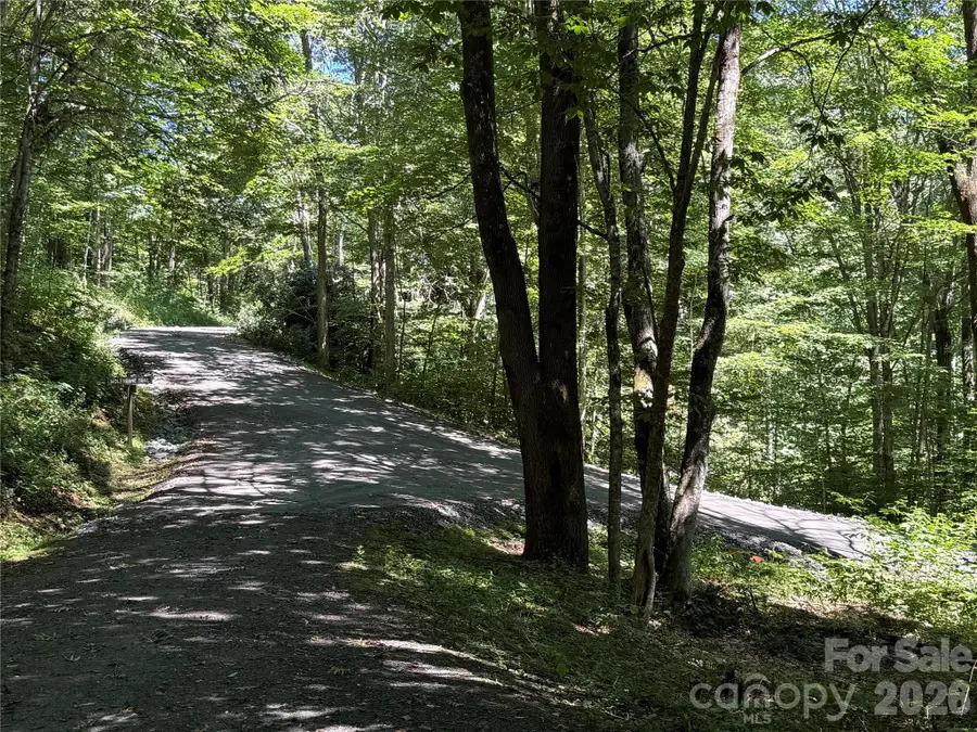7 Wolfsbane Trail #7, Todd, NC 28684 - #2