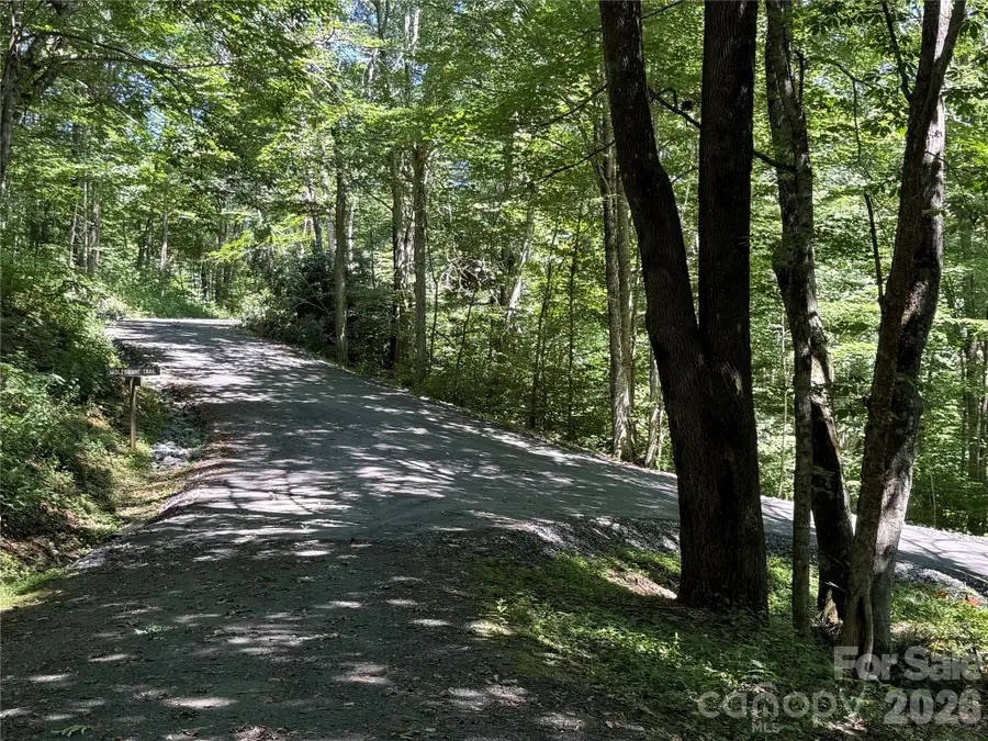 7 Wolfsbane Trail #7, Todd, NC 28684 - #3
