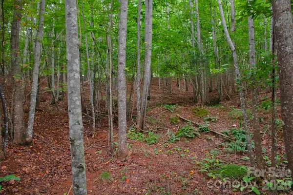 0 Creekside Circle #110, Rutherfordton, NC 28139