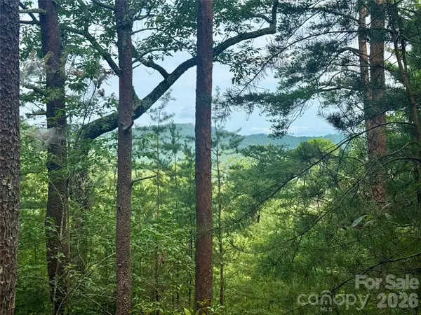 V/L Tahawus Drive #92, Bostic, NC 28018