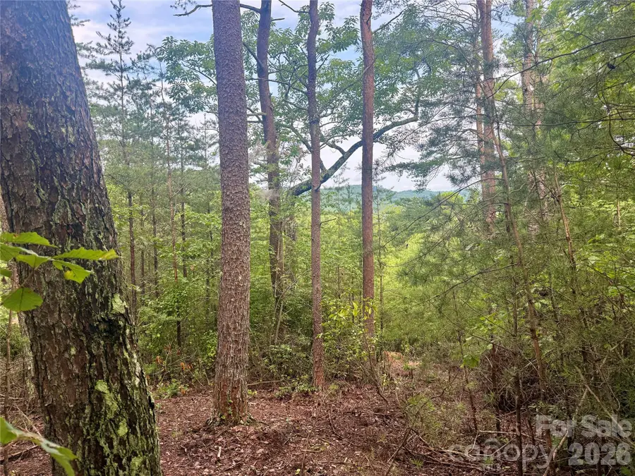 V/L Tahawus Drive #92, Bostic, NC 28018 - #2