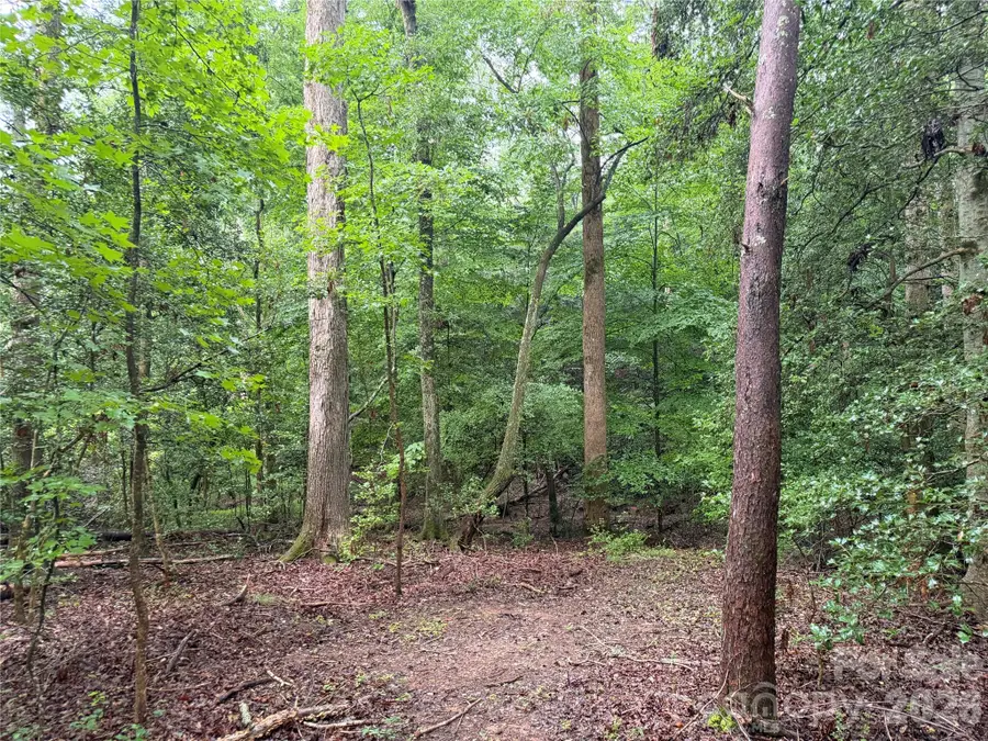 00 Whitt Road, Piedmont, SC 29673 - #3