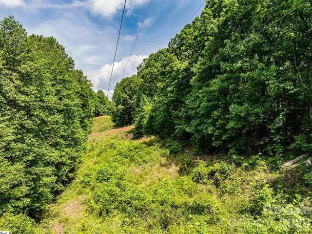 67 & 68 Wildflower Lane, Travelers Rest, SC 29690 - #1