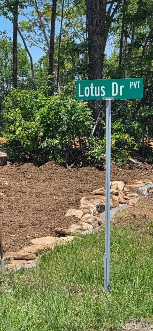 V/L Lotus Drive #14, Nebo, NC 28761 - #2