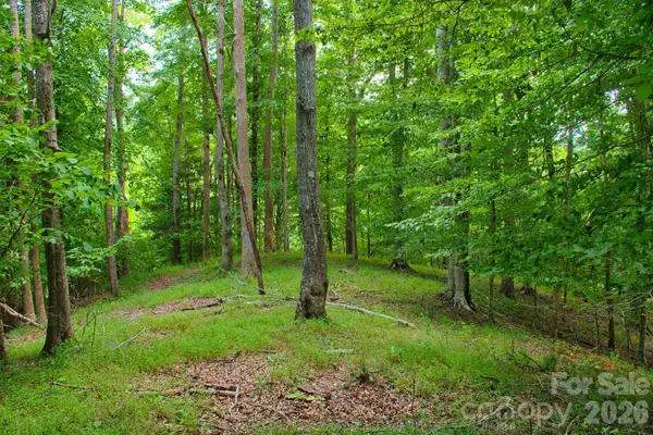 0 Cross Creek Drive #136+136A, Rutherfordton, NC 28139