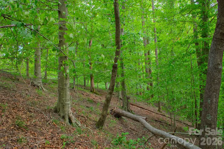 0 Cross Creek Drive #136+136A, Rutherfordton, NC 28139 - #2