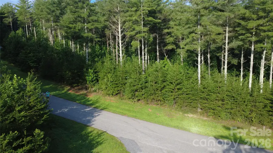 TBD Peninsula Reserve Drive #27, Nebo, NC 28761 - #3