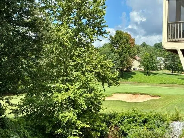 152 Sports Village Drive, Hendersonville, NC 28739 - #3