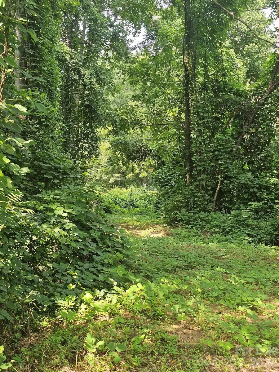 0 Us 70 Highway, Connelly Springs, NC 28612 - #3