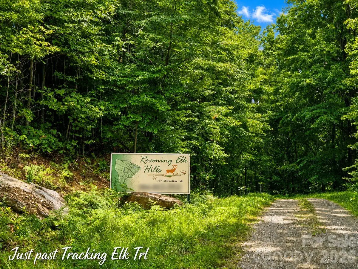 1000 Yonah Trail #7, Waynesville, NC 28785 - #1