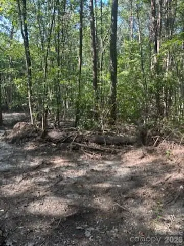 TBD Bud Arndt Road, Maiden, NC 28650 - #2