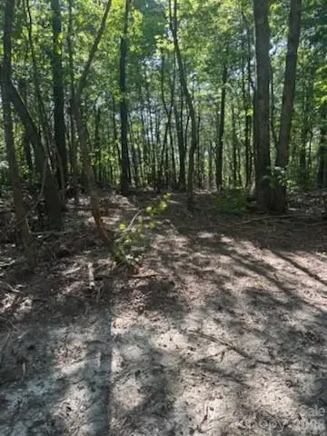 TBD Bud Arndt Road, Maiden, NC 28650 - #3