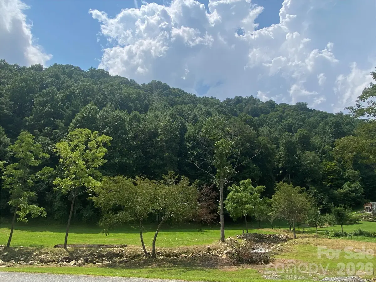 00 Foster Creek Road, Marshall, NC 28753 - #1