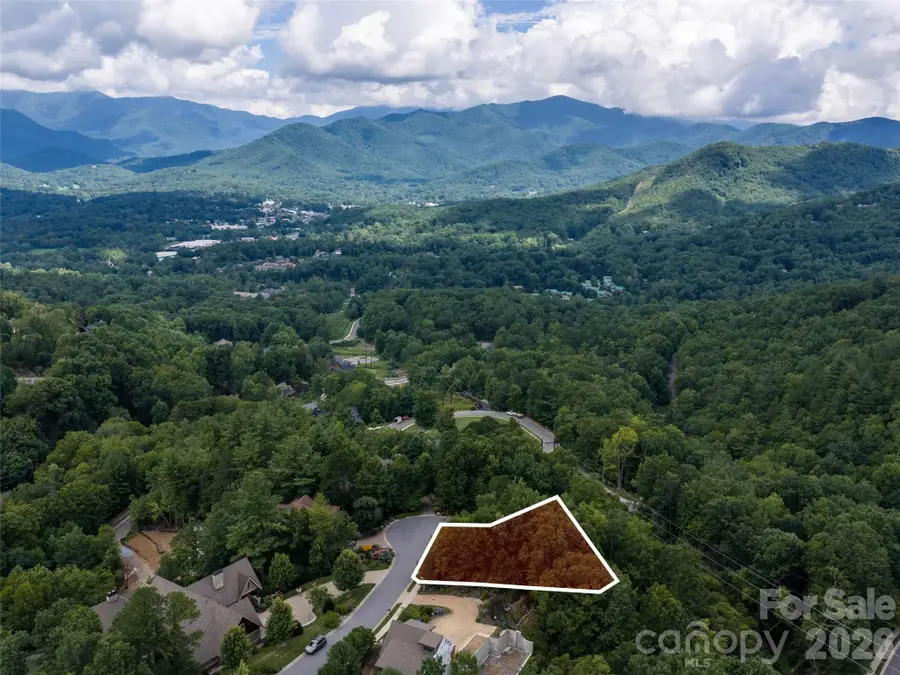 15 Panther Gap Road #116, Black Mountain, NC 28711 - #2