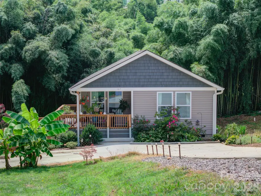 107 Forest Street, Asheville, NC 28803 - #2