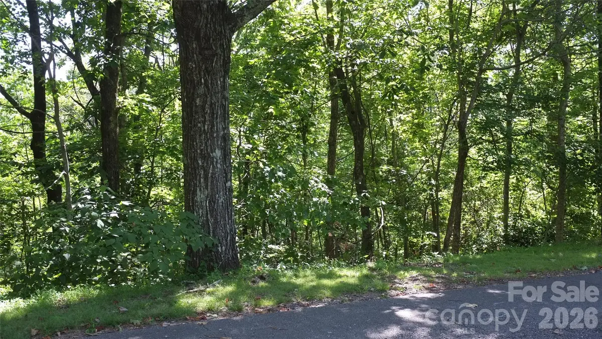 11 & 21 Sunset Ridge Drive #21 & 11, Columbus, NC 28722 - #1