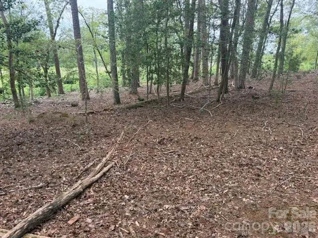 0 Eagle Point, Mount Gilead, NC 27306 - #2