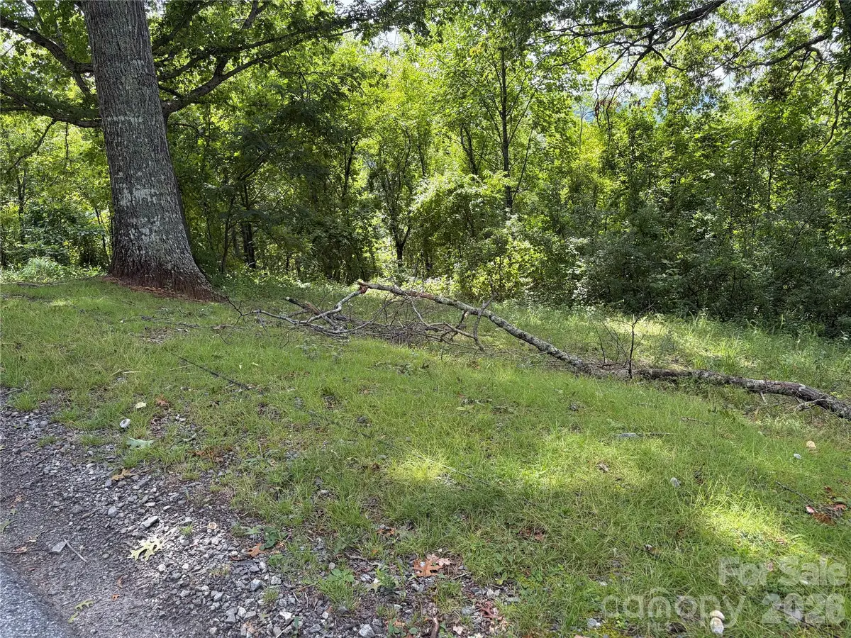 61 Sugar Maple Drive, Black Mountain, NC 28711 - #1