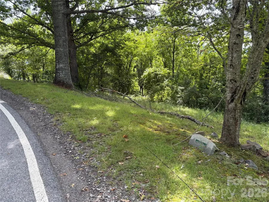 61 Sugar Maple Drive, Black Mountain, NC 28711 - #3