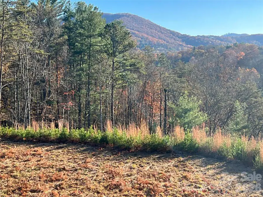 165 Riverbend Forest Drive #11, Asheville, NC 28805 - #2