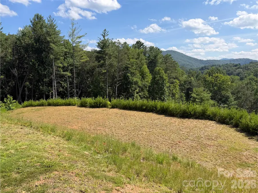 165 Riverbend Forest Drive #11, Asheville, NC 28805 - #3