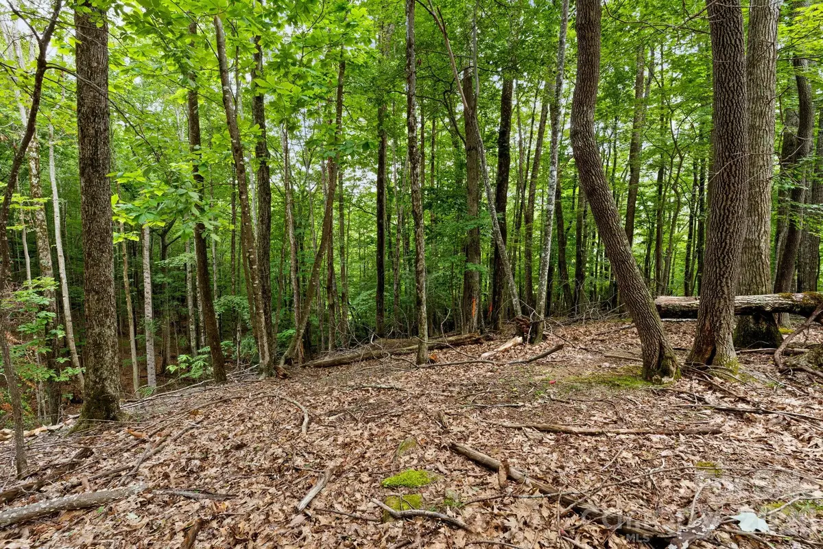 203 Sourwood Lane #186, Beech Mountain, NC 28604 - #1